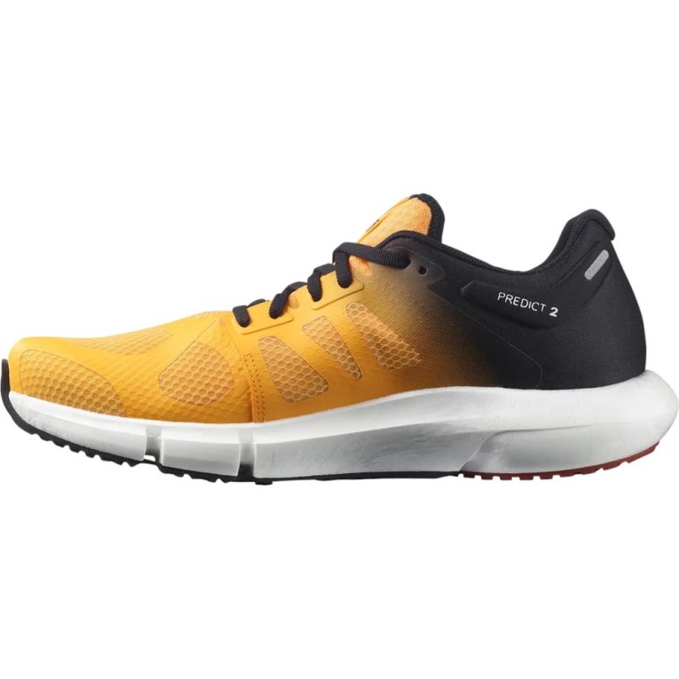 Mango / Black Salomon Predict 2 Men's Running Shoes | IE ZA7816